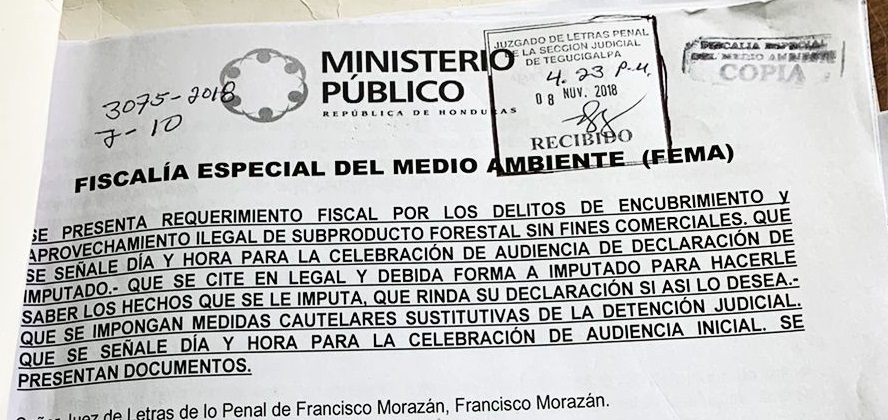 Fiscal A De Medio Ambiente Obtiene Auto De Formal Procesamiento Por