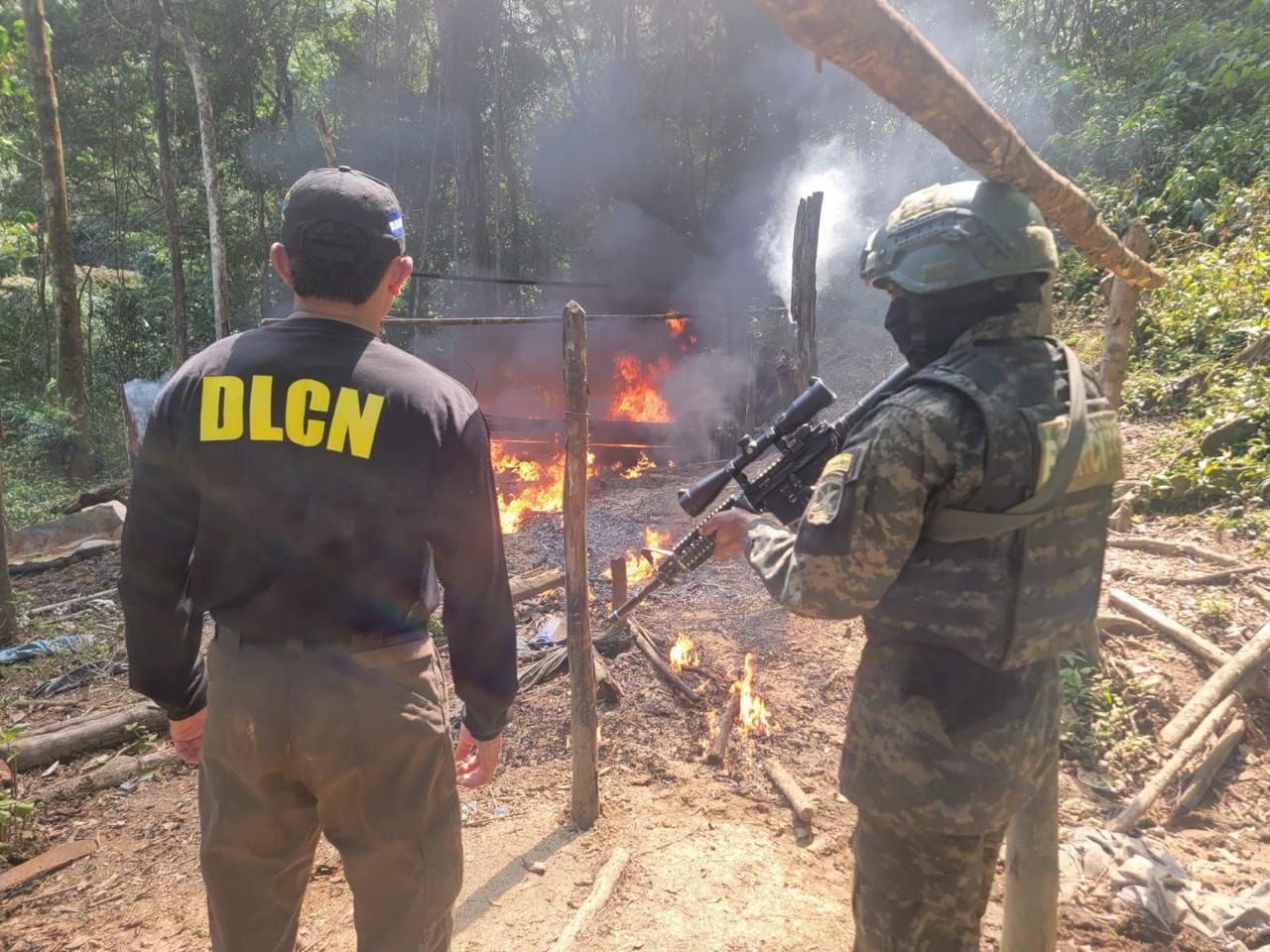 Dlcn Y Elementos De La Ffaa Destruyen Plantaci N De Arbustos De Hoja De