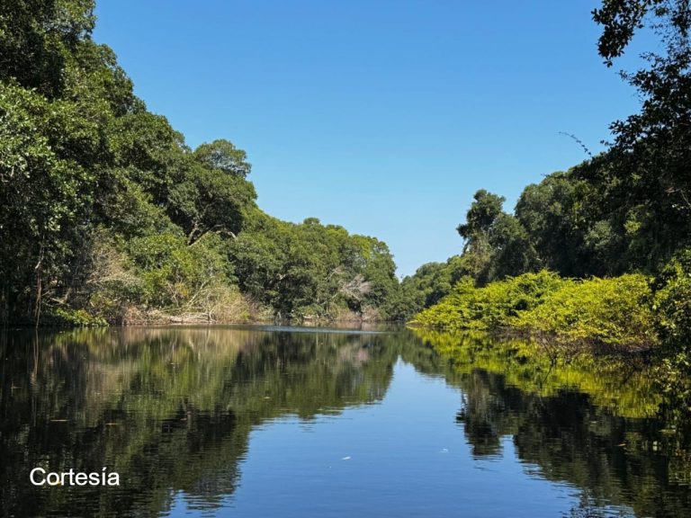 Tras solicitud del Ministerio Público, juzgado ordena paralizar actividades agrícolas en Laguna de Zambuco, Atlántida