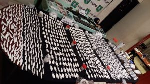 Fiscales con efectivos de la PMOP decomisan droga, armas de fuego, municiones y droga en allanamientos en colonia sampedrana